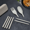 Spoon Fork Chopsticks Cutlery Detachable 3PCS Set with Travel Carry box